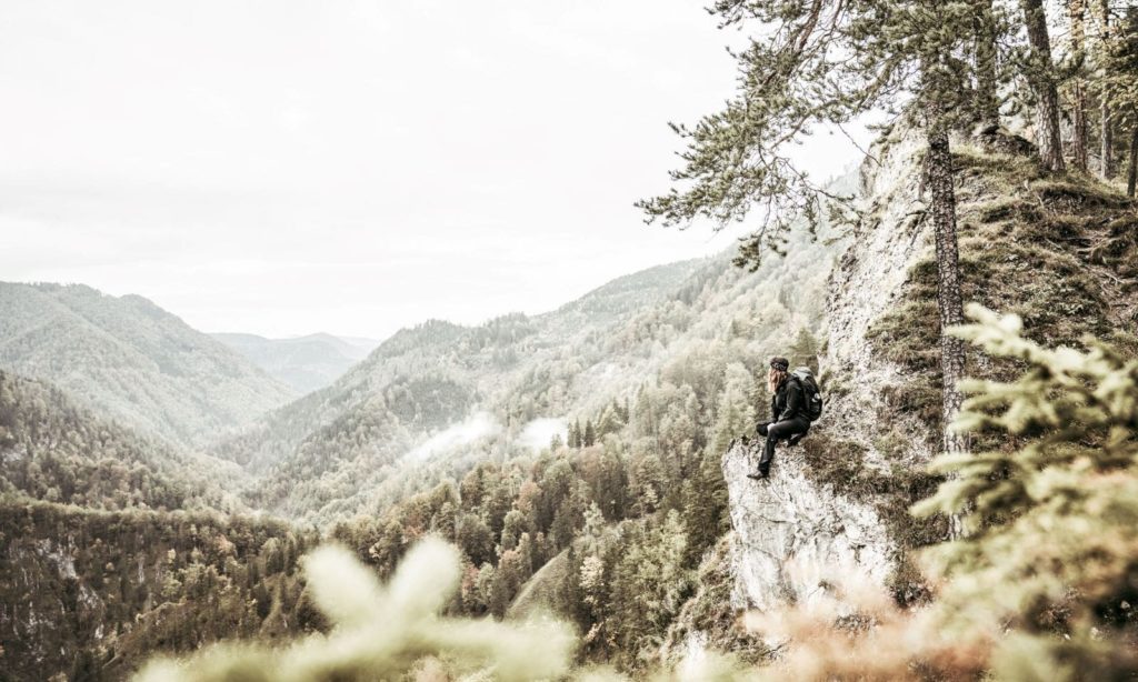 Was_Projekte_Luchs Trail_HEADER_2400px Luchs Trail Gebirge Aussicht